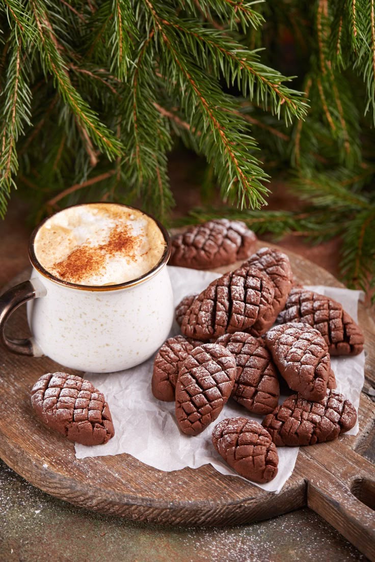 Biscuit chocolat Pomme de Pin 150G